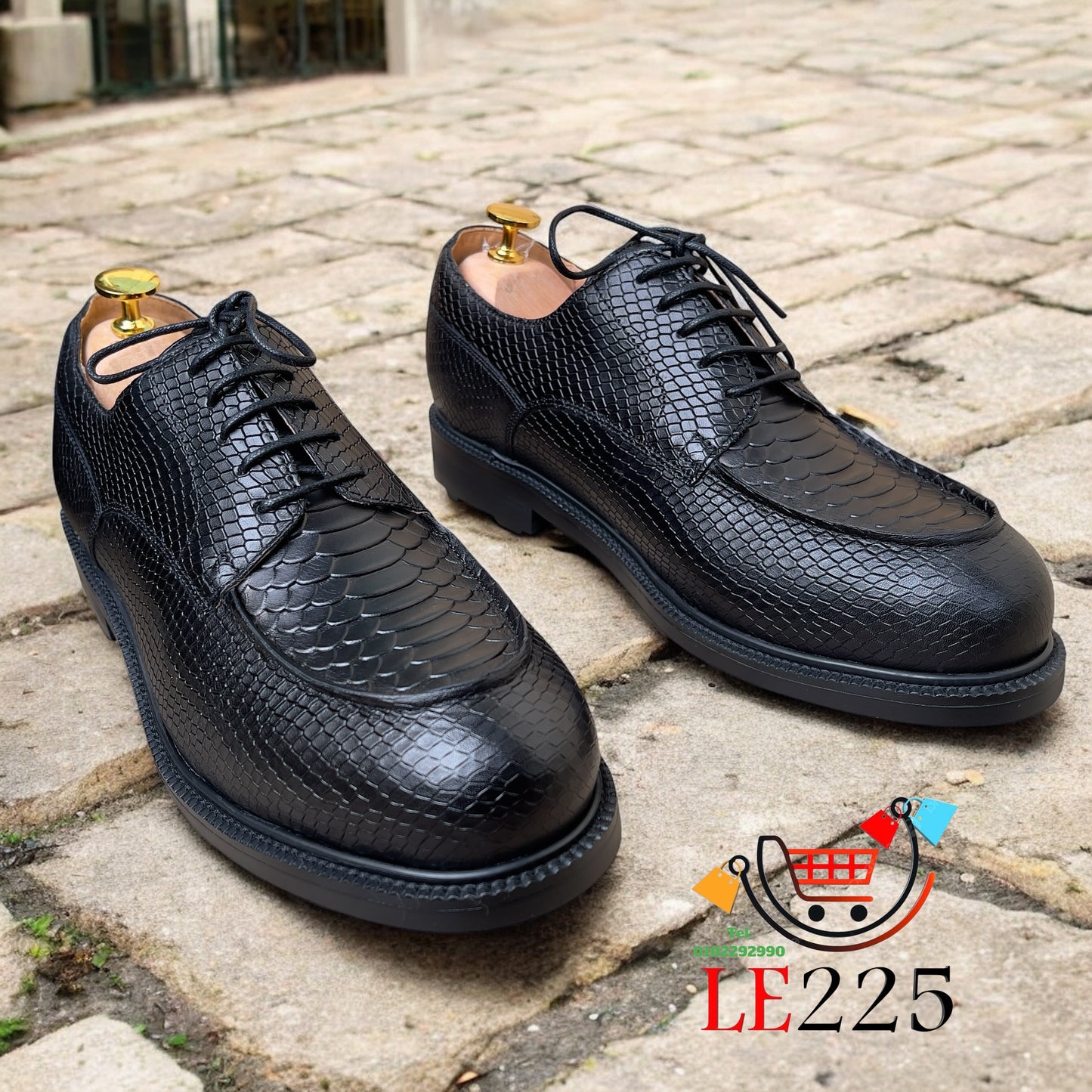 Chaussure Ak12